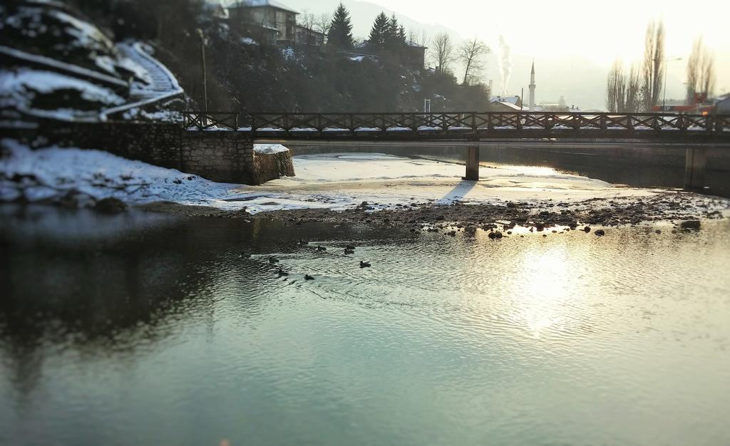 Pansion River SJJ Rom bilde